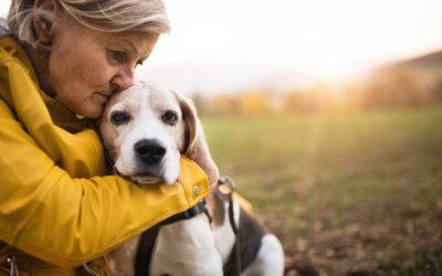 Embracing Love: The Significance of Adopting Senior Pets