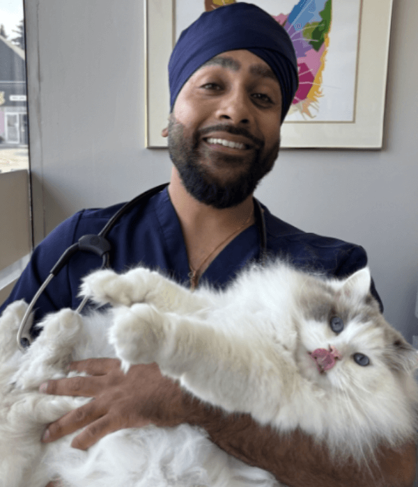 Dr.-Harmeet-Jassal Dr. Harmeet Jassal