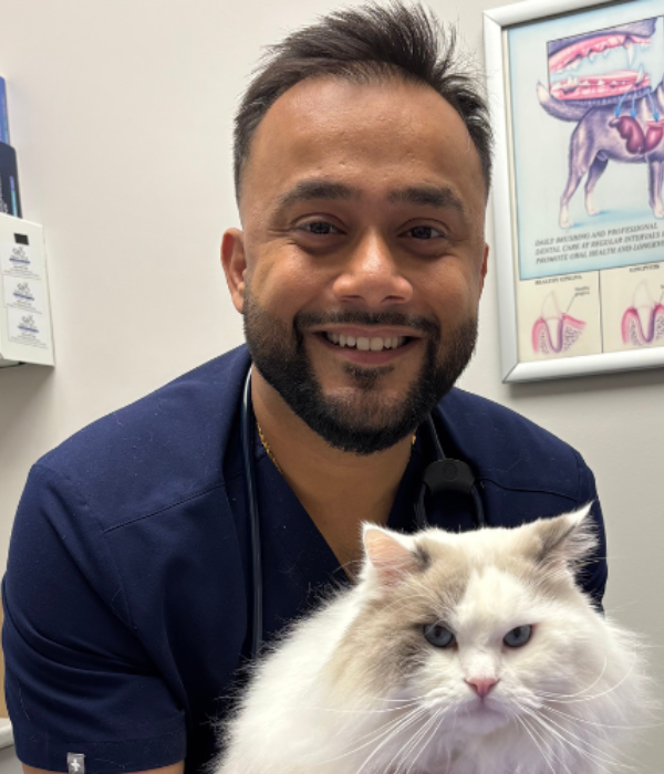 Dr. Bick Dr. Bick Jassal