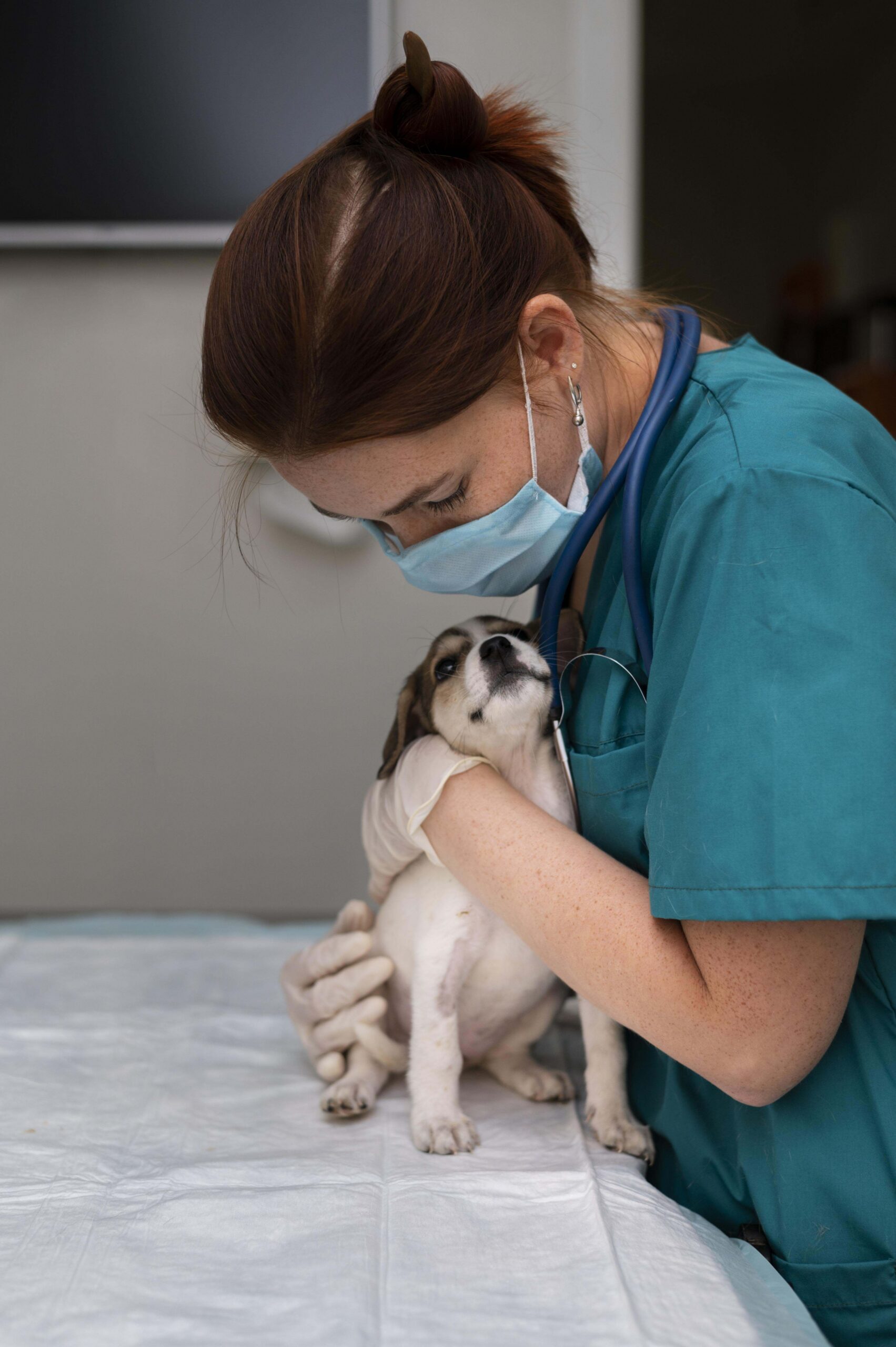 a vet hold a puppy